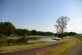 jardim-botanico-de-londrina-pista-de-caminhada