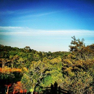 cidade-londrina-001-parque-arthur-thomas    