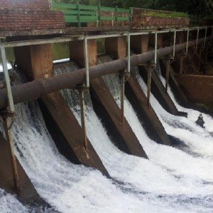 cidade-londrina-003-parque-arthur-thomas    