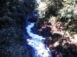 cidade-londrina-008-parque-arthur-thomas    